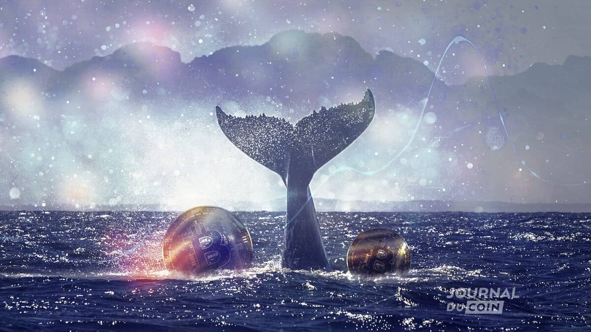 Bitcoin s’accroche à 56 000 $ alors que les baleines continuent d’acheter – Regardez ces niveaux de prix BTC